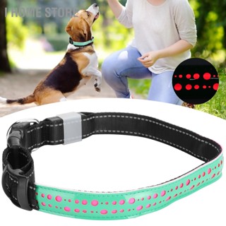 USB Rechargeable LED Pet Adjustable Carved Collar Dog Lighting Night Safety