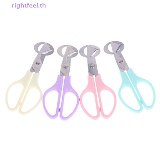 Rightfeel.th กรรไกรตัดไข่นกกระทา สเตนเลส แบบใช้มือ สําหรับห้องครัว