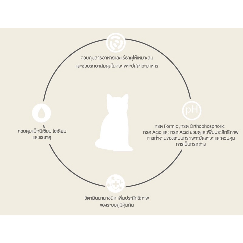 UT FUNCTION อาหารแมวสูตรดูแลกระเพาะปัสสาวะ PROJECT 32 SERIES จากเพ็ทเทอเรีย [ UT ] - รูปที่ 4