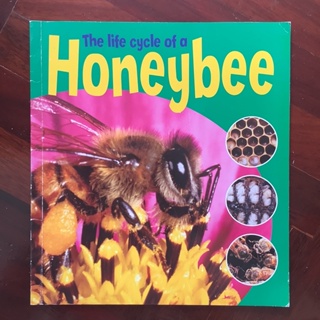 หนังสือ The Life Cycle of Honeybee