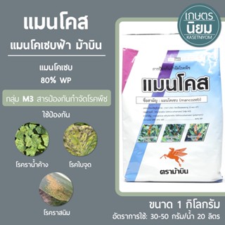 แมนโคส (แมนโคเซปฟ้า) icp ม้าบิน (แมนโคเซบ 80% WP) 1 กิโลกรัม