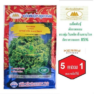 ผลิตภัณฑ์ใหม่ เมล็ดพันธุ์ เมล็ดพันธุ์ ผักกาดหอม Lettuce แกรนด์ เรปิด ตราภูเขาทอง เมล็ดผัก เมล็ดพันธุ์พืช  เมล็ด /คะน้า Q