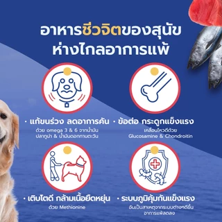 ZENO TUNA GRAIN FREE (เม็ดเล็ก) อาหารสุนัข ซีโน่ทูน่าเกรนฟรี ขนาด 3 กิโลกรัม