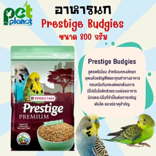 [ 800g. ] อาหารนก Prestige budgies Versele laga อาหารนกหงส์หยก  สำหรับ นก นกแก้วฟอพัส นกหงส์หยก สูตร พรีเมี่ยม