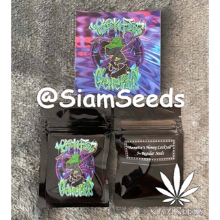 เมล็ดกัญชา Kickflip Genetics Annettes Honey Cocktail Regular Cannabis Seeds (Pack of 5+)