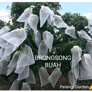 Brongsong buah kelengkeng besar 50x100 Pembungkus Buah BLongsong kelengkeng jaring buah