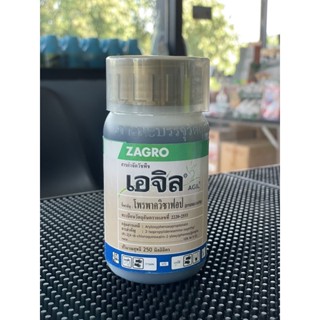 เอจิล : ชื่อสามัญโพรพาควิซาฟอป10%EC(/หญ้านกสีชมพู/หญ้าปล้อง/หญ้าตีนติด/หญ้าดอกขาว/หญ้าปากควาย/หญ้าตีนกา)