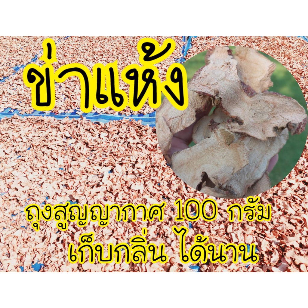 ข่าแว่นแห้ง 100 กรัม เกรด A แห้งไม่มีดำไม่มีรา