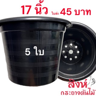 กระถาง 17  นิ้ว 5 ใบ