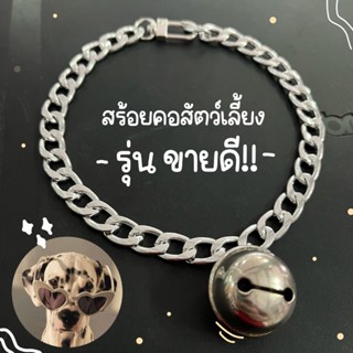 สร้อยคอหมา สร้อยคอแมว ปลอกคอสุนัข ปลอกคอโซ่ ปลอกคอหมา (เส้นแบน-สีเงินS44)