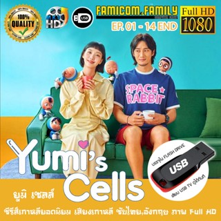 ซีรีส์เกาหลี Yumis Cells ยูมิ กับเซลล์สมองสุดอลเวง Season 1 FULL HD 1080P เสียบเล่นกับทีวีได้ทันที