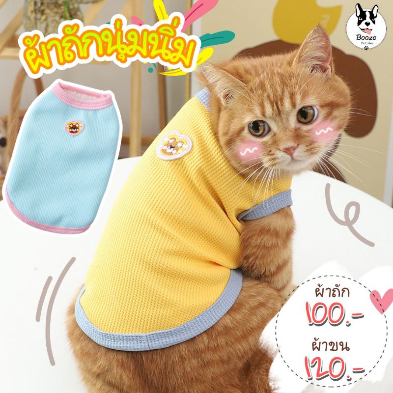 ร้านไทย เสื้อสัตว์เลี้ยงแขนกุด เสื้อกล้ามหมาแมว งานผ้าถักลายปักน้องหมี ใส่สบาย มีแบบบางกับหนาจ้า