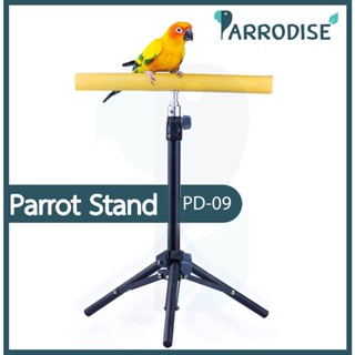 Parrodise PD-09 คอนพกพา คอนบินอิสระ คอนลับเล็บ ยืดได้ 60cm