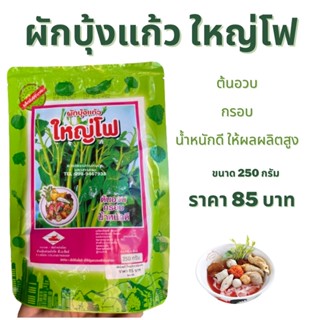 ผักบุ้งแก้วใหญ่โฟ เมล็ดผักบุ้งแก้ว ผักบุ้งเย็นตาโฟ ขนาด 250 กรัม