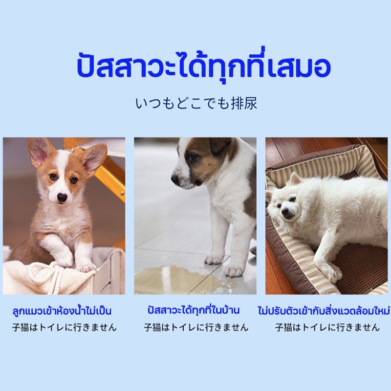 😼🐶 สเปรย์ฝึกการขับถ่าย ให้ฉี่ ห้ามฉี่ สำหรับสัตว์เลี้ยง ฉีดตรงไหนได้ผลตรงนั้น ปลอดภัยไร้สารตกค้าง แมว สุนัข หมา 500 ml