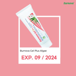 [สินค้าแถม] Burnova Gel Plus Snow Algae 25 g. เบอร์นโนว่า เจลว่านหางจระเข้ บำรุงผิว ฟื้นฟูผิว ลดริ้วรอย