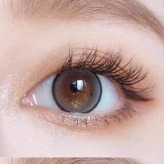 sweety plus seeshell gray ไม่มีค่าสายต่ พร้อมส่ง