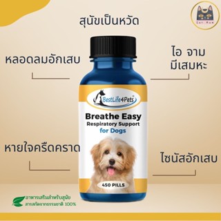 ส่งฟรี! (ใช้โค้ด) Breathe Easy Dog อาหารเสริมสุนัขเป็นหวัด