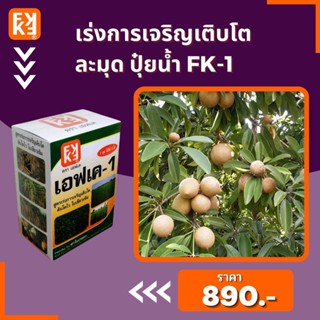 ปุ๋ยน้ำ เร่งการเจริญเติบโต เพิ่มผลผลิต ละมุด ประสิทธิภาพสูง FK-1 เร่งโต FK-3 ขยายขนาดผล สำหรับพืชออกผลทุกชนิด โดยFK