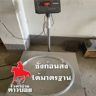 ลวดทนสนิม ลวดขาว ลวดช๊อต 2.0mm. ลวดชุบซิงค์แบบจุ่มร้อน Galvanized wire ลวดอเนกประสงค์ ลวดเหล็ก