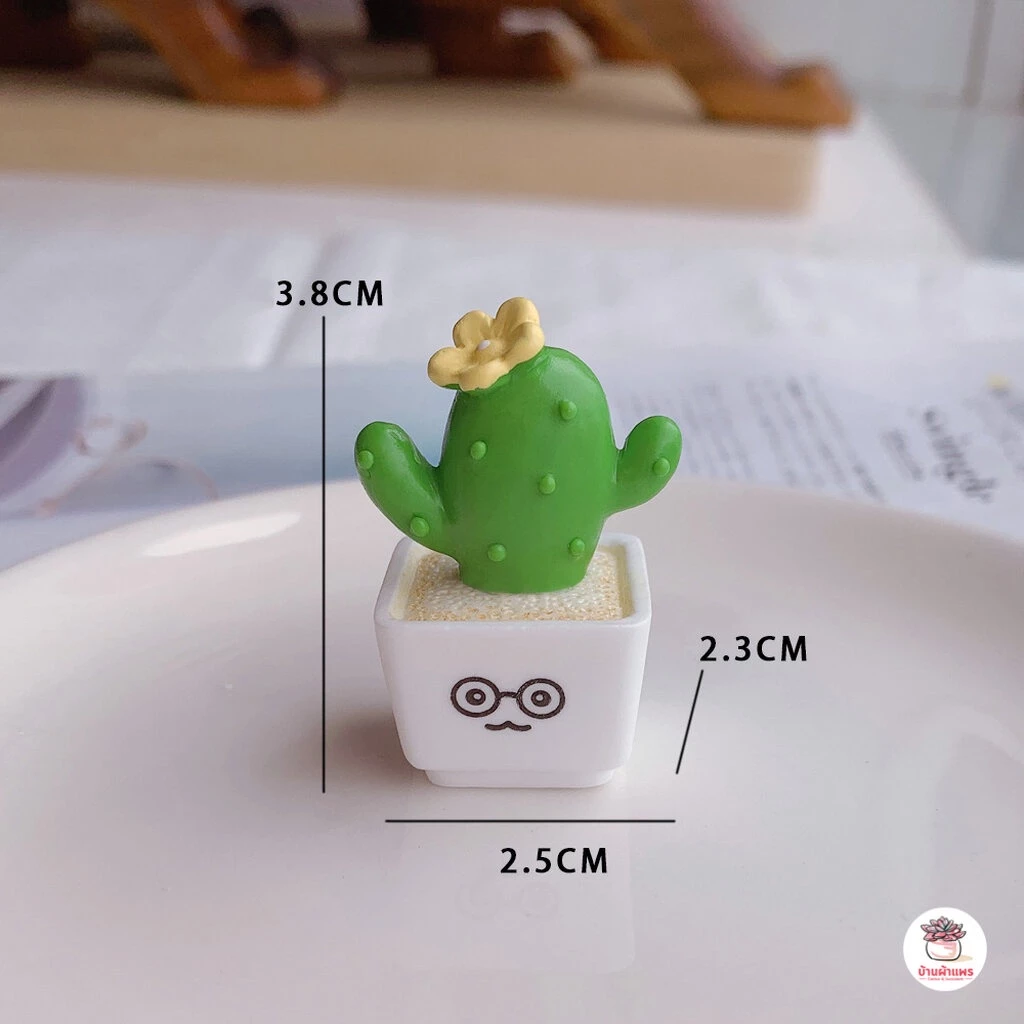 กระบองเพชรสุดน่ารัก ตุ๊กตาจิ๋ว โมเดลจิ๋ว แต่งสวน ตุ๊กตาแต่งสวนจิ๋ว thumbnail 10