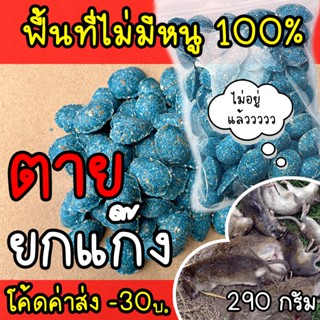 ยาเบื่อหนู (พร้อมส่ง) เหยื่อกำจัดหนู หนูชอบมากกก ตายแห้ง ยาฆ่าหนู 290g (ตายไม่มีกลิ่น) ยาฆ่าหนู สำเร็จรูป ตายแน่นอน!!