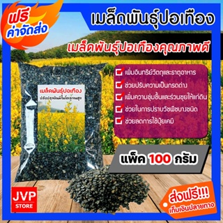 **ส่งฟรี** เมล็ดพันธุ์ปอเทือง1 กิโลกรัม ดอกปอเทือง ดอกเหลือง เมล็ดพันธุ์คุณภาพดี พืชบำรุงดิน