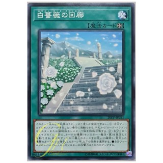 [20PP-JP011] White Rose Cloister (Common)