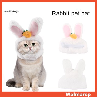 Walmarsp หมวกคอสเพลย์ ลายการ์ตูนแครอท กระต่ายน่ารัก พร็อพถ่ายรูป สําหรับสัตว์เลี้ยง สุนัข แมว ปาร์ตี้ฮาโลวีน