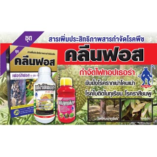 ชุดคลีนฟอส ผลิตภัณฑ์ ตราปีศาจ เฟอร์ติพอส (1 ลิตร) และ แนทเทิล (0.5 ลิตร) ยับยั้งโรครากเน่าโคนเน่า โรคราได้ดี