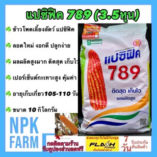 ข้าวโพดเลี้ยงสัตว์ แปซิฟิค 789 (3.5 หุน) เมล็ดกลมกลาง ขนาด 10 กิโลกรัม ถุงใหม่ ลอตใหม่ งอกดี ติดสุด เก็บไว ผลผลิตสูงมาก