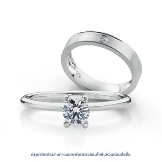 เซตแหวนเพชร Young Signature 3 Solitaire &amp; Young Satin Diamond Lining Band  Bundle Set (RC803-RM806)