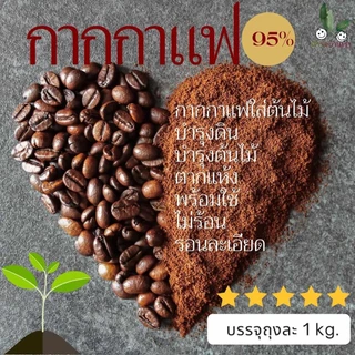 กากกาแฟ บรรจุ 1 กิโลกรัม ใส่ ต้นไม้ กากกาแฟสด บำรุงดิน บำรุงต้นไม้ ปุ๋ยอินทรีย์ ตากแห้ง พร้อมใช้ ไม่ร้อน รอนละเอียด