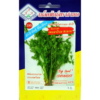 ผลิตภัณฑ์ใหม่ เมล็ดพันธุ์ ผักชี พันธุ์พื้นเมือง Big Seed Coriander หอมป้อม สามเอ เมล็ดพันธุ์ตราสามเอ  น้ำหนักสุ /ผักชี W