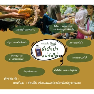 ไร่รื่นรมย์ น้ำผึ้งโพรงป่า 100% แม่จันใต้ 250 กรัม