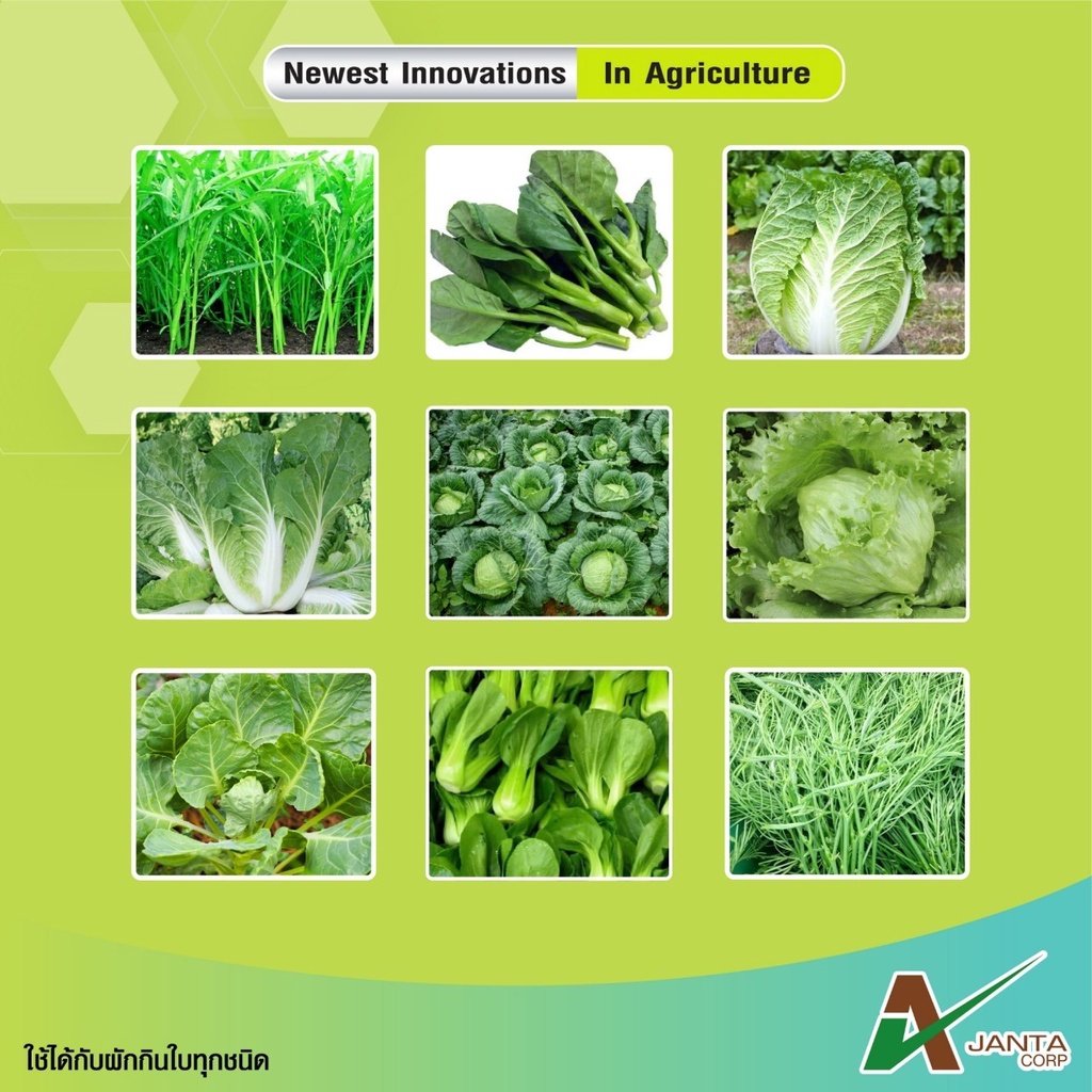 ผักกินดอก ผักกินใบ เอเจนต้า ใช้กับผักกินดอก กินใบ ได้ทุกชนิด เร่งใบหนา ใบใหญ่ เขียวเข้ม   (1 ขวด) - รูปที่ 5