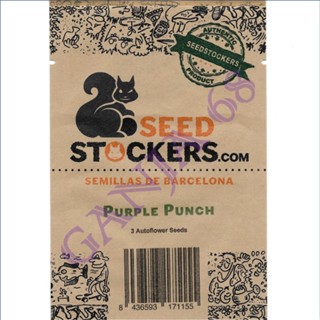 Purple Punch Auto - Seed Stockers