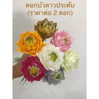 ดอกบัว ดอกบัวดาวประดับ แบบดอกเดี่ยว (ราคาต่อ2ดอก)