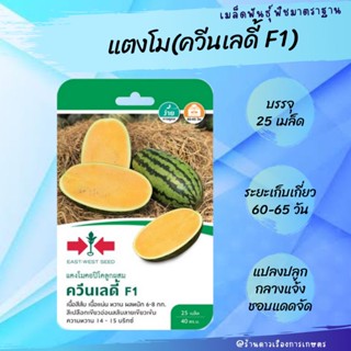 เมล็ดพันธุ์ แตงโม (ควีนเลดี้ F1) *ศรแดง บรรจุ 25 เมล็ด