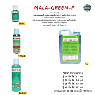 MALA GREEN F มาลา-กรีน-เอฟ ใช้รักษาโรค เน่าเปื่อย ตกเลือด จุดขาว White spot disease fin-rot parasite fungi