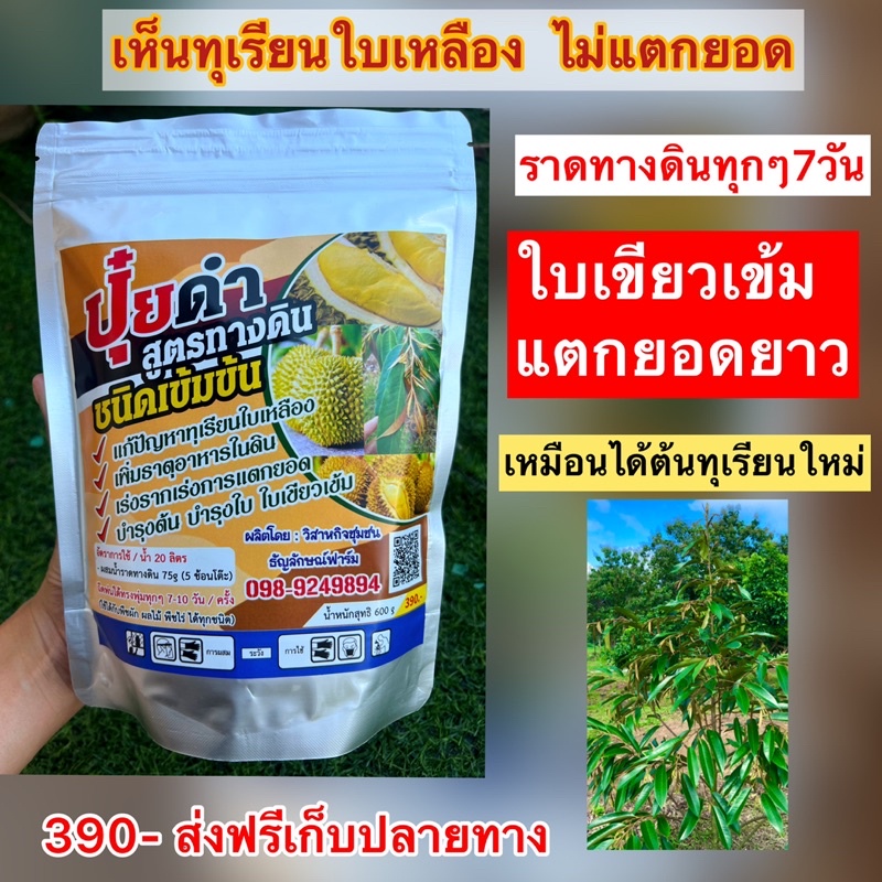 ปุ๋ยดำสูตรทางดินชนิดเข้มข้น