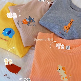 พร้อมส่ง เสื้อยืดแขนยาว ผ้าฝ้าย แบบบาง เข้ากับทุกการแต่งกาย แฟชั่นฤดูใบไม้ผลิ และฤดูใบไม้ร่วง สไตล์เกาหลี สําหรับเด็กผู้ชาย และเด็กผู้หญิง