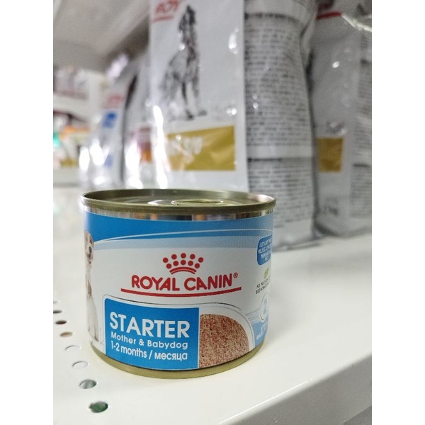 ROYAL CANIN STARTER MOTHER AND BABYDOG