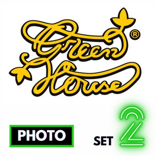 🔥Preorder🔥เมล็ดค่าย🌱Green House Seeds🌱⭐️Photo⭐️ส่งฟรี🚨มีปลายทาง ส่งตรงจากนอกแท้100%⭐️ยกแพค/แยกเมล็ด⭐️อย่าเสี่ยงกับเมล็ดไม่มีที่มา#2