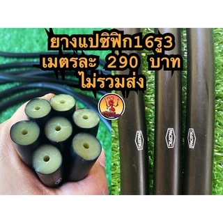 ยางแปซิฟิกขนาด12รู3,14รุ3,14รู5,16รู3