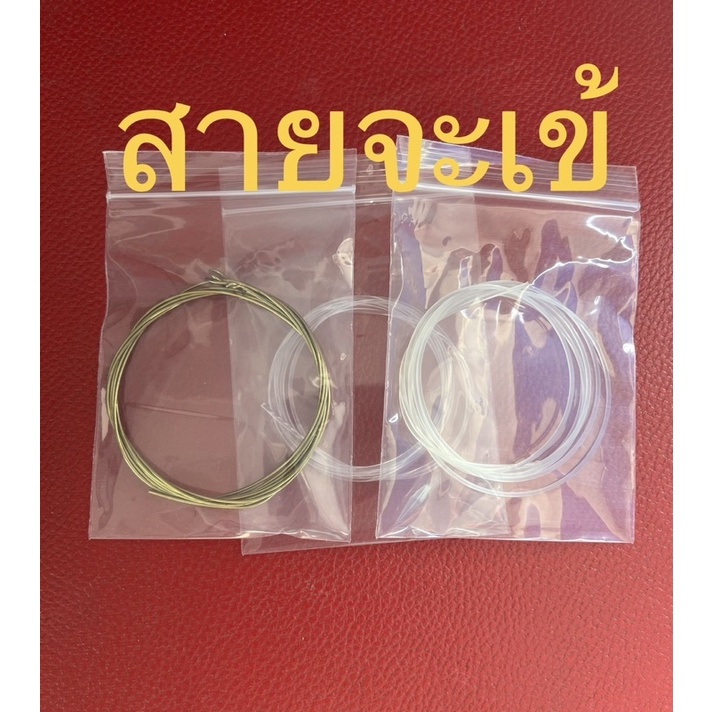 สายจะเข้(ครูธนวัฒน์)