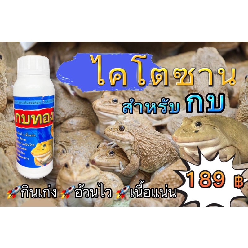 กบทอง อ้วนไว กินเก่ง เร่งโต ไคโตซาน สำหรับกบ