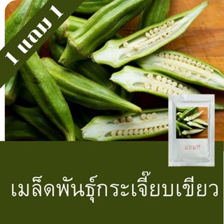 เมล็ดพันธุ์กระเจี๊ยบ 1แถม1 (250 เมล็ด) ถูกที่สุด!!