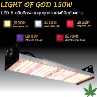 โคมไฟปลูกต้นไม้ 150W Light of god เสริมด้วย LED IR และ UV สำหรับไม้ด่างเร่งสีเร่งโต มีแสงครบทุกย่านที่พืชต้องการ