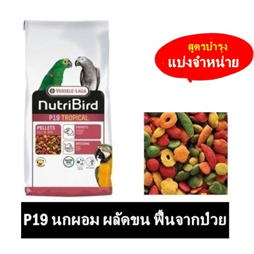 Nutribird P19 เม็ดสี อาหารนก มาคอร์ แอฟริกันเกร์ อีเล็คตรัส สร้างภูมิคุ้มกันโรค แบ่งขาย 3 KG.